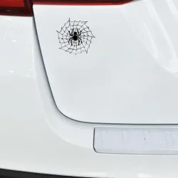 Spin op een spinnenweb - autostickerStickers