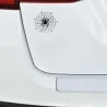 Spin op een spinnenweb - autostickerStickers