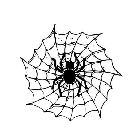 Spider on a spider web - car sticker