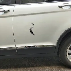 Veer met vliegende vogels - vinyl autostickerStickers