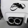 PegatinasPluma de aves - pegatina de coche vinilo