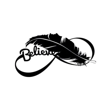 Bird feather - vinyl car stickerStickers
