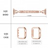 AccesoriosCorrea de acero inoxidable & caja protectora con cristales para Apple Watch 5/4/3/2/1