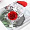 Día de San ValentínRosa fresca conservada - caja de joyería de cristal - boda - Día de San Valentín