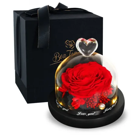 Rose éternelle préservée - boîte en verre avec lumière - Saint Valentin / cadeau de mariage