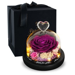 Preserved eterna rosa - scatola di vetro con luce - Giorno di San Valentino / regalo di nozze