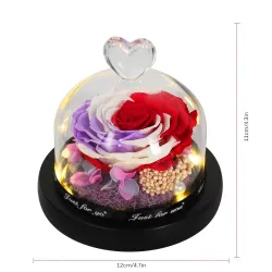 Preserved eternal rose - glass box with light - Valentine's day / wedding gift