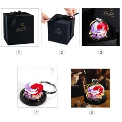 Preservado rosa eterna - caixa de vidro com luz - Dia dos Namorados / presente de casamento