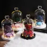 Eeuwige geconserveerde roos met teddybeer in glas - LEDValentijnsdag
