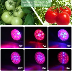 Phytolamp LED växer ljus - E27 - 5W - 7W - 9W - 12W - 15W - 18W