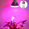 Phytolamp LED växer ljus - E27 - 5W - 7W - 9W - 12W - 15W - 18W