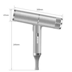 Sèche-cheveux professionnel- ionique - gris - 220V