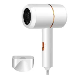 CabelloSecador de pelo profesional - 100 - 240V - 1400W