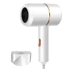 CabelloSecador de pelo profesional - 100 - 240V - 1400W