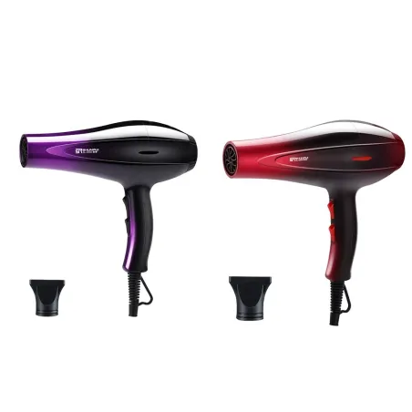 Sèche-cheveux professionnel - ionique - séchage rapide - 6 vitesses