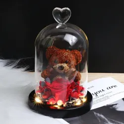 Eternal preserved rose with teddy bear in glass - LED