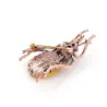 Green Crystal Beetle, tunnetuin esittäjä Brooch