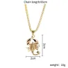 Collier scorpion or