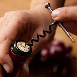 Mini korkskruv - vin flasköppnare - rostfritt stål