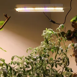 280W - 560 LED - lumière végétale - spectre complet - lampe phyto
