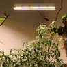 280W - 560 LED - lumière végétale - spectre complet - lampe phyto
