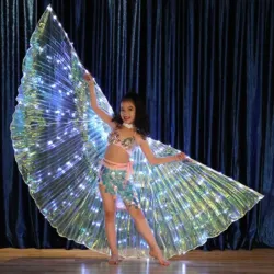 LED butterfly wings - show dance / costume party / masquerade / halloweenParty