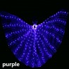 LED vlindervleugels - show dans / kostuumfeest / maskerade / halloweenFeest