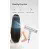 Sèche-cheveux professionnel- ionique - gris - 220V