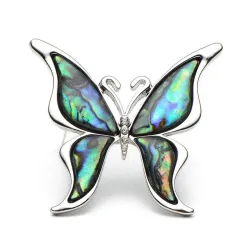 Farfalla con un guscio colorato - una spilla di metallo