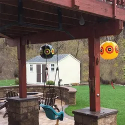 Control de insectosBird repellent balloons - scary eyes - pest control