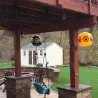 Control de insectosBird repellent balloons - scary eyes - pest control