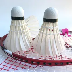 Badminton shuttlecock - white goose feather - 3pcs / 6pcs