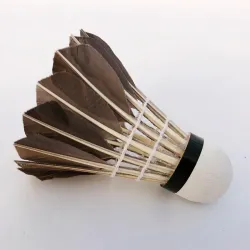 Badminton shuttlecocks - white / black goose feather - 6 - 12 pieces