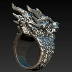 Edelstalen ring met drakenkop - Punk / Gothic stijlRingen