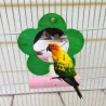 Bloemvormige spiegel - met bank - vogelspeelgoedVogels
