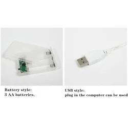 Fruits slices shaped string light - battery powered / USB - lemon / lime / orange