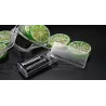 Fruits slices shaped string light - battery powered / USB - lemon / lime / orange