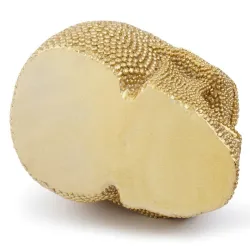 Gouden schedel - harsbeeld - Halloween-decoratieHalloween & feest