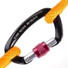 25KN Karabiner - mit Schraubverschluss - zum Wandern / Klettern / Camping