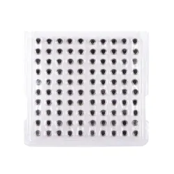 SR626SW / 377 / SR626 / LR626 / AG4 button batteries - 1.55V - 100 pieces