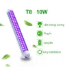 T8-rör - ultraviolett lampa - 60 LED - 10W - bakgrundsbelysning / scener / fester