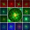 Bühnen- / Disco-Licht - Laserprojektor - 128 Muster - RGBW - LED