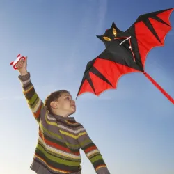 CometaBat shaped kite - 110cm - kids / children