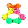 Squeaky sound - rubber dog bone - pets toy