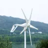 Mini windturbine - generator - met controller - 12V / 24VWind
