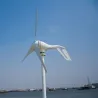 Mini Windturbine - Generator - mit Steuerung - 12V / 24V