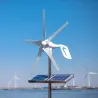 Mini windturbine - generator - met controller - 12V / 24VWind