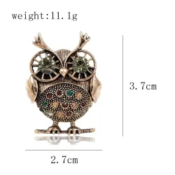 Retro grote ogen uil - broche met kristallen versieringenBroches
