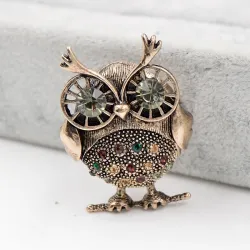 Retro grote ogen uil - broche met kristallen versieringenBroches