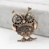 Retro grote ogen uil - broche met kristallen versieringenBroches